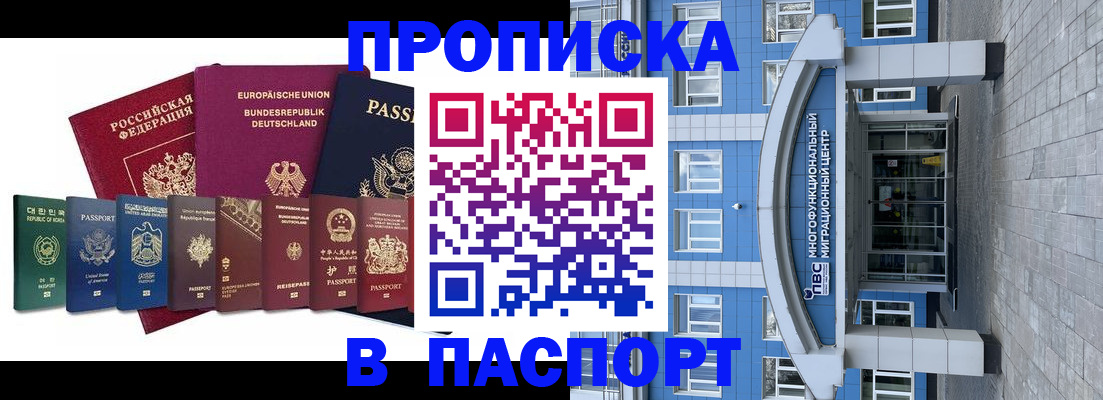 прописка штамп в Раменском